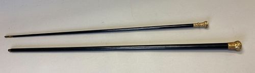 PAIR OF GILT HANDLE CANESPair of 3704ea