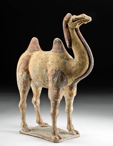 CHINESE TANG DYNASTY CAMEL (TOMB