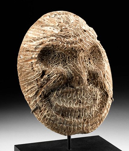 SUPERB & IMPORTANT TAINO CORAL