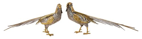 PAIR OF SPANISH SILVER HOODED PHEASANTS20th