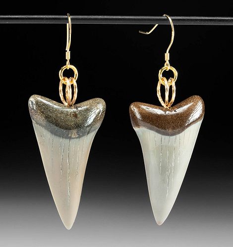 WEARABLE FOSSILIZED SHARK TOOTH