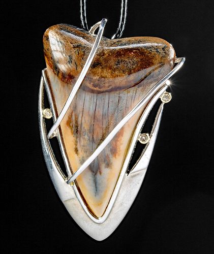 FINE FOSSILIZED SHARK TOOTH SILVER