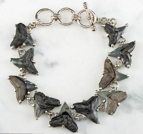 FOSSILIZED SHARK TOOTH & STERLING