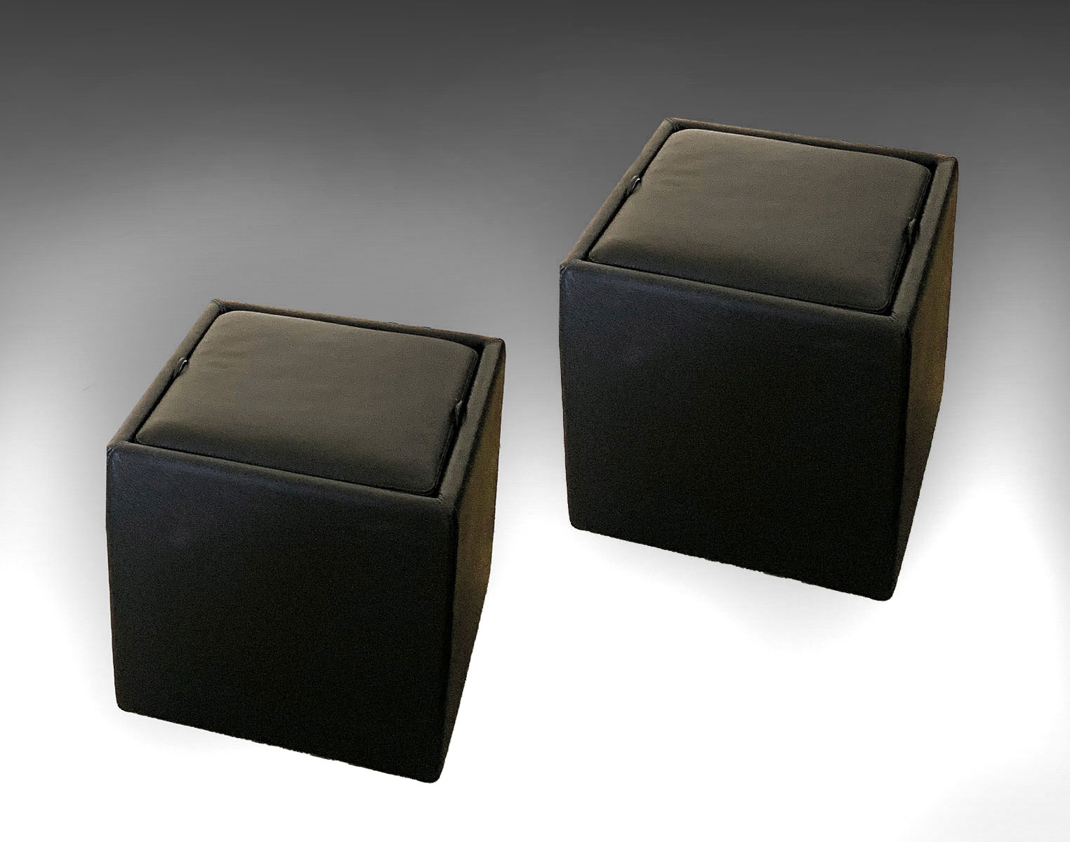 PAIR OF LEATHER STORAGE CUBES BY 36f2dd