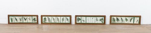 SET OF 24 BOTANICAL LITHOGRAPHS24 36fbd6