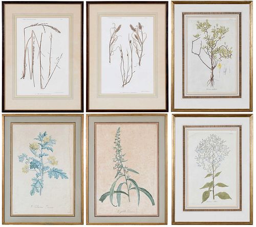 THREE PAIRS OF FRAMED BOTANICAL