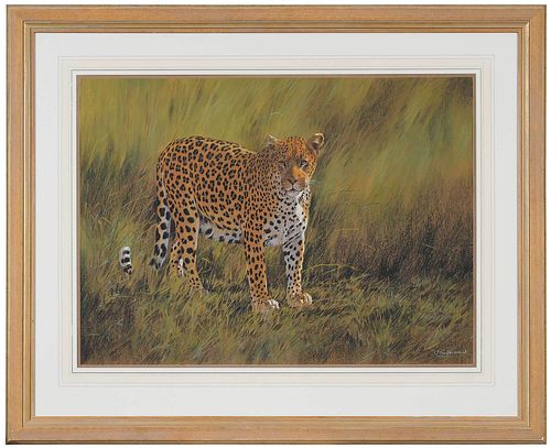 KIM DONALDSON WILDLIFE PAINTING South 372b6a