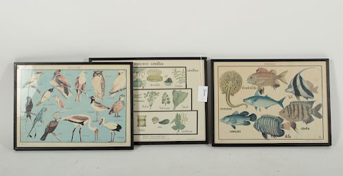 3 PRINTS OF BIRDS, PLANTS, & FISHIdentified