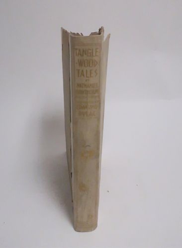 TANGLEWOOD TALES NATHANIEL HAWTHORNE DULAC 373476