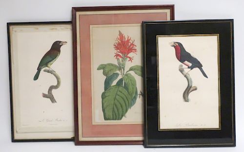 HAND COLORED ENGRAVINGS TWO BIRDS 373589