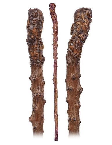 VINE BEARS CANE-Ca 1900 -Fashioned of