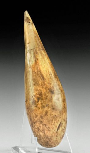 19TH C INUIT WALRUS IVORY PINNIPED 3717f7