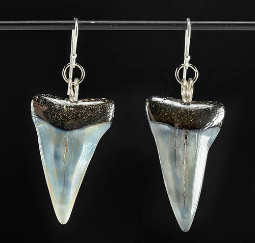 WEARABLE FOSSILIZED SHARK TOOTH