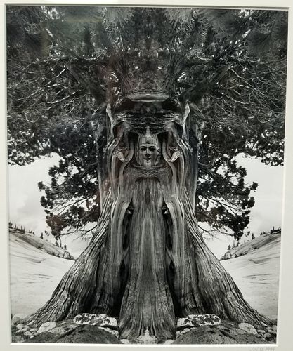 UNTITLED 1994 JERRY UELSMANN SILVER 371a7b