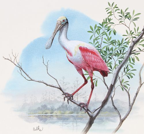 DON BALKE (B. 1933) ROSEATE SPOONBILLDon