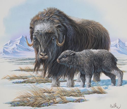 DON BALKE (B. 1933) "MUSK OX WITH