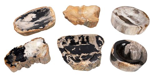 SIX PIECES PETRIFIED WOODeach with 371ae9