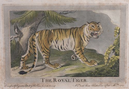 CHARLES CATTON 'THE ROYAL TIGER'