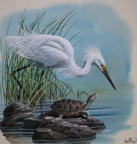 DON BALKE B 1933 SNOWY EGRET Don 371cd0