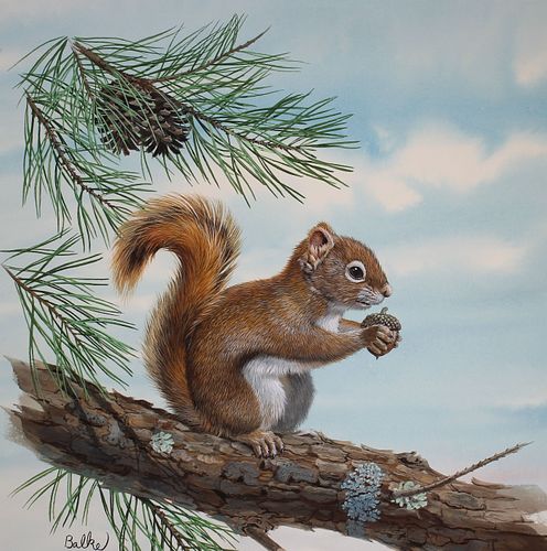 DON BALKE B 1933 RED SQUIRREL Don 371cca