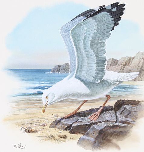 DON BALKE B 1933 HERRING GULL Don 371d91