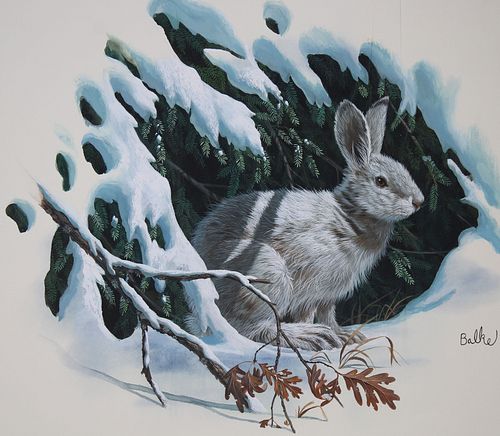 DON BALKE (B. 1933) "SNOWSHOE HARE"Don