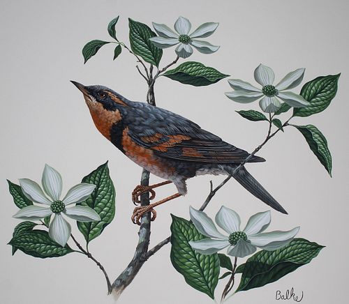 DON BALKE (B. 1933) "VARIED THRUSH"Don