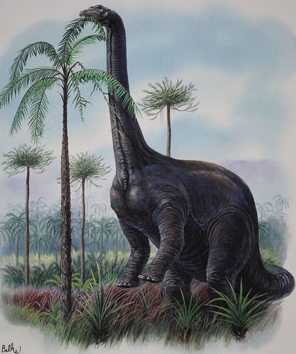 DON BALKE B 1933 BRONTOSAURUS Don 371f46