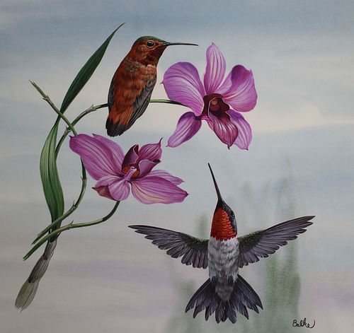 DON BALKE B 1933 RUFOUS HUMMINGBIRD Don 371f42