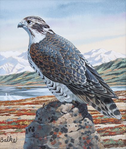 DON BALKE (B. 1933) "GYRFALCON"Don