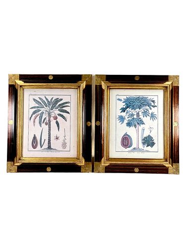 PAIR OF PRINTS, PAYAYA TREE & DATE