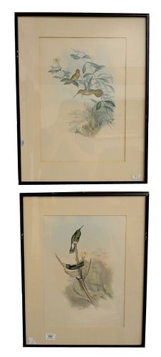 A PAIR OF JOHN GOULD HUMMINGBIRDS