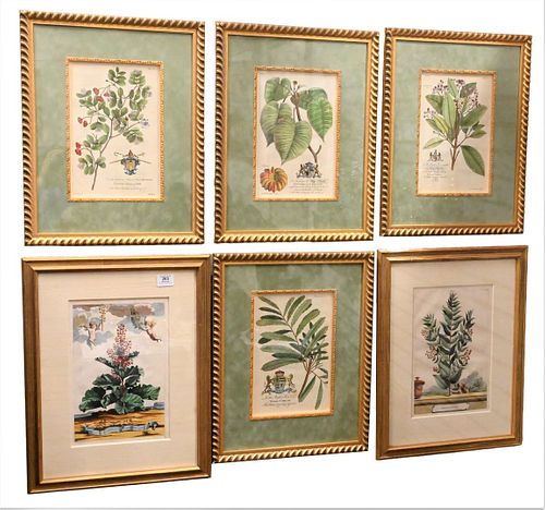 GROUP OF SIX BOTANICAL ENGRAVINGS AND