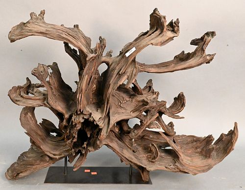 LARGE FREEFORM DRIFTWOOD SCULPTURE 375e4d