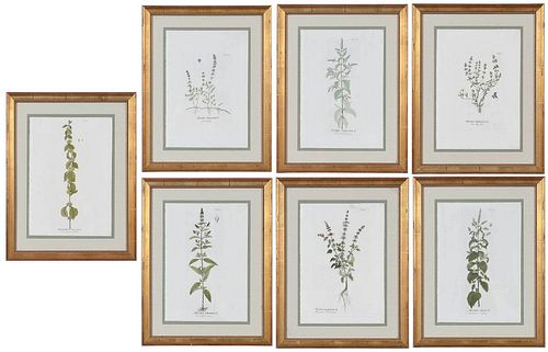 SET OF SEVEN APOTHECARY PRINTS(Continental,