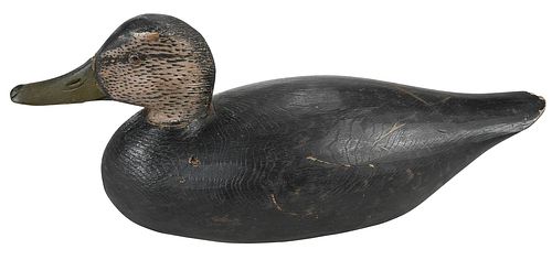 ANTHONY ELMER CROWELL BLACK DUCK