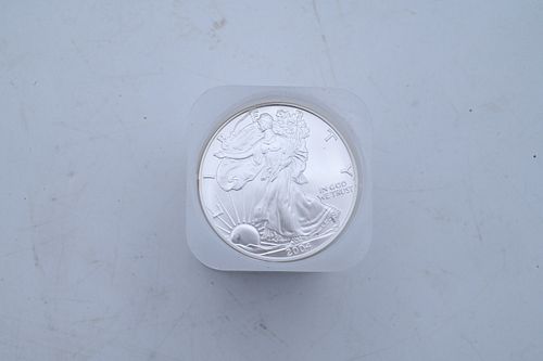 ROLL OF 20-2004 1 OZ SILVER AMERICAN