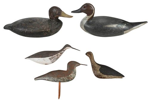 GROUP OF FIVE AMERICAN DUCK AND 376021