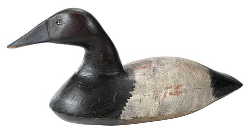 CANVASBACK DRAKE DECOY NEW YORK 376026