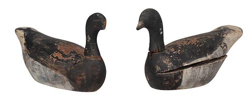 NEAR PAIR OF LARGE PAINTED DUCK 376030