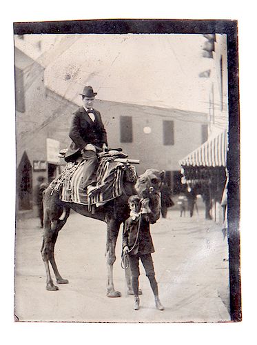 CAMEL TINTYPE1/8 PLATE, IN FINE CONDITION,