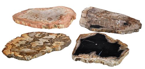 FOUR PETRIFIED WOOD SLABSof varying 374502