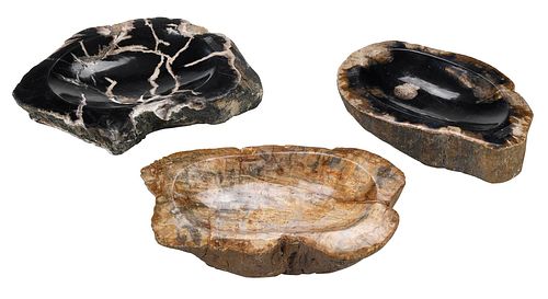 THREE PETRIFIED WOOD BOWLSeach