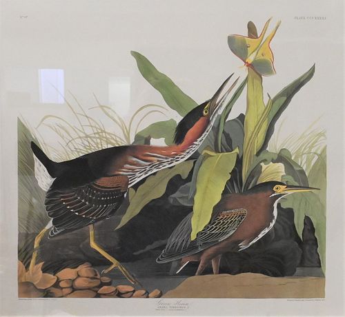 JOHN JAMES AUDUBON 1785 1851  374521