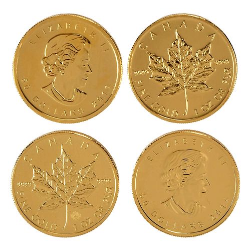 24 CANADIAN GOLD COINS, ONE OUNCE