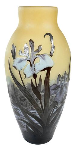 IRIS AND DRAGONFLY CAMEO ART GLASS 3789ae