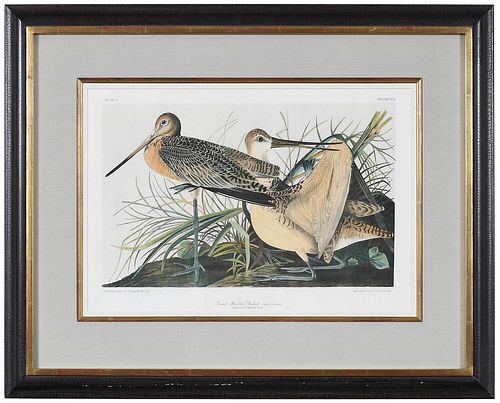 AFTER JOHN JAMES AUDUBON New York  3763fd