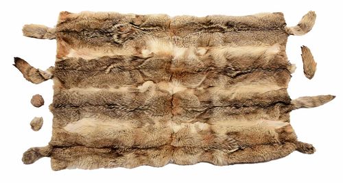 COYOTE FUR THROW20th century large 376505