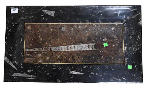 RECTANGLE POLISHED STONE FOSSIL