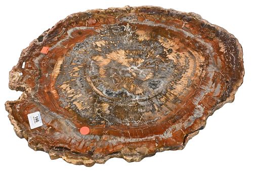 ROUND PETRIFIED WOOD SLABRound